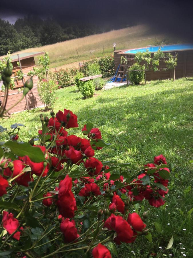 Il Mugello B&B วิคคิโอ ภายนอก รูปภาพ