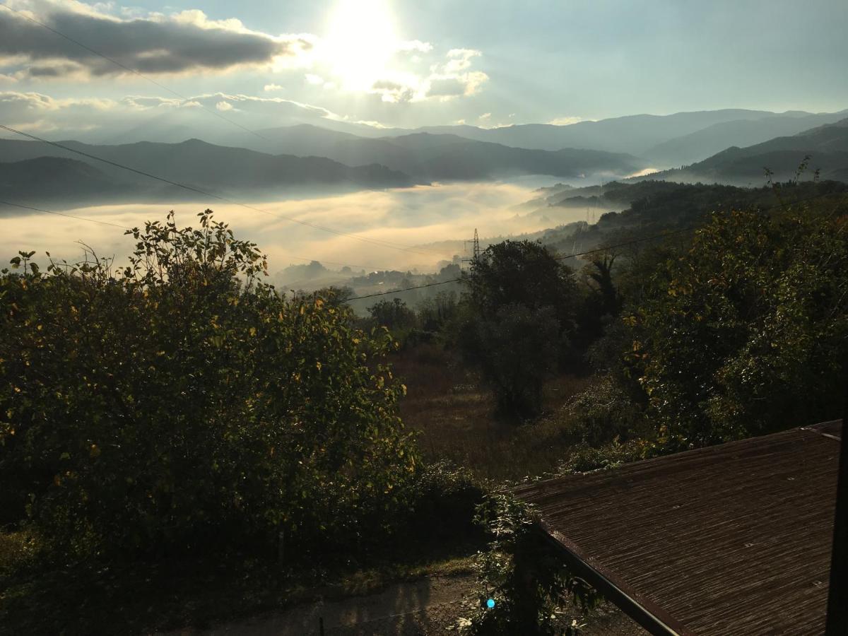 Il Mugello B&B วิคคิโอ ภายนอก รูปภาพ