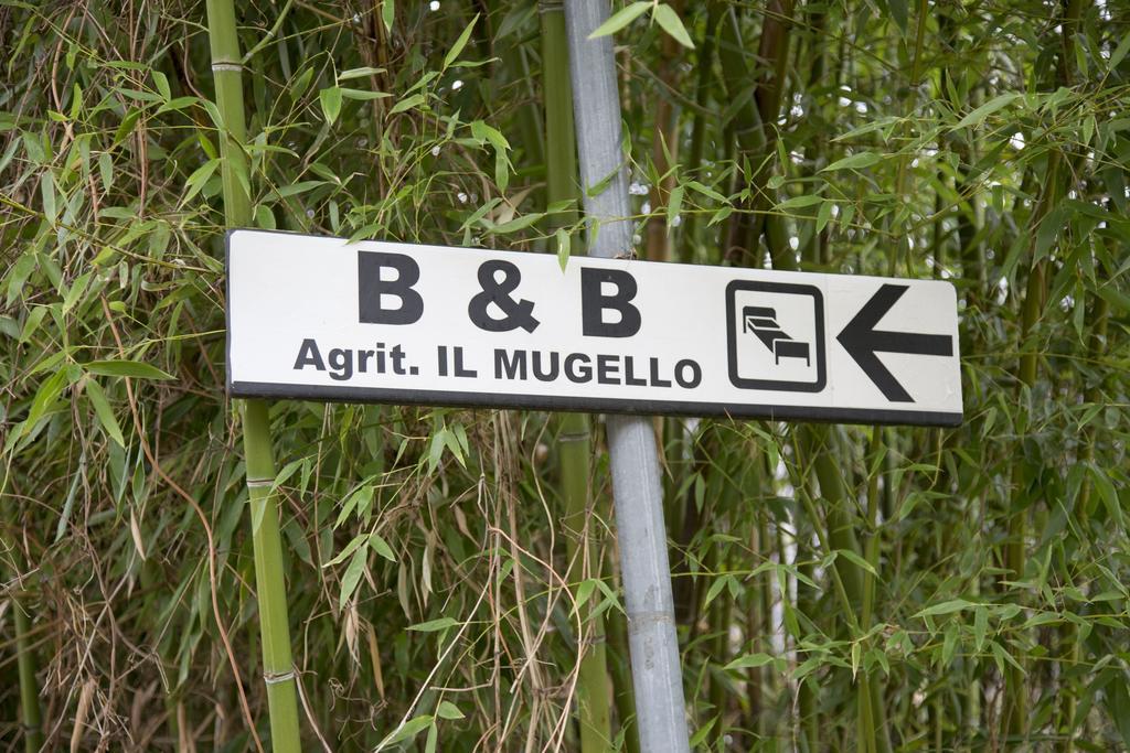 Il Mugello B&B วิคคิโอ ภายนอก รูปภาพ